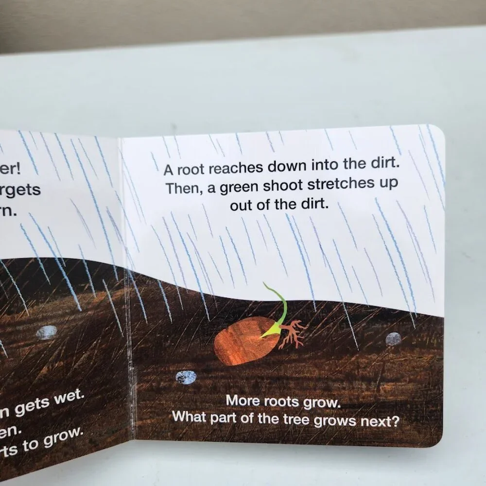 How Does a Seed Sprout? Eric Carle Board Book Toddler Learning Children's books